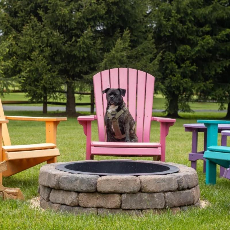Fenced Yard Chalets From Good Dog Vacations At Big Valley Resort Sciota Exterior foto