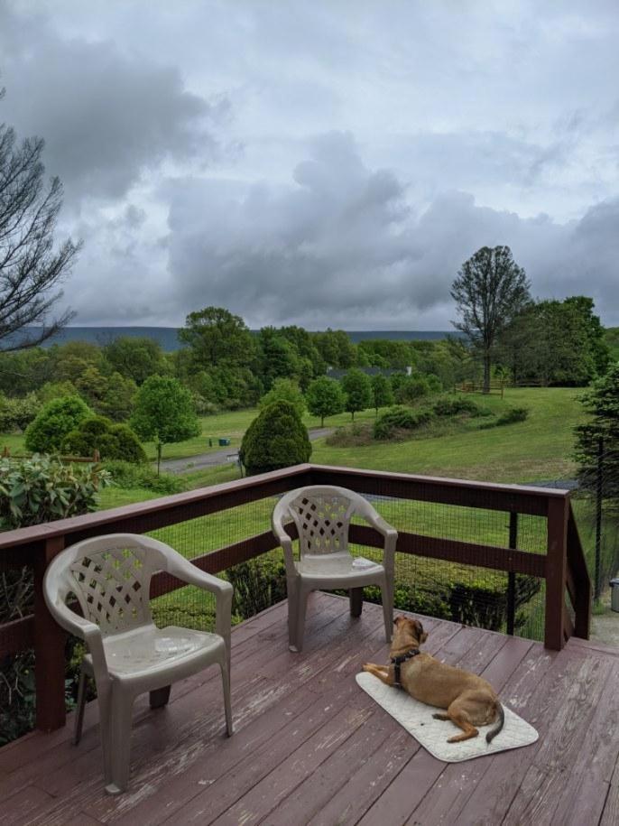 Fenced Yard Chalets From Good Dog Vacations At Big Valley Resort Sciota Exterior foto